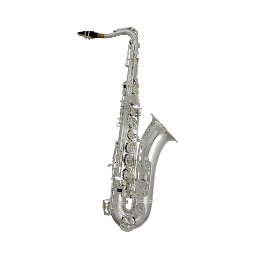Тенор-саксофон Trevor James Classic II 3822SS #1 - фото 1