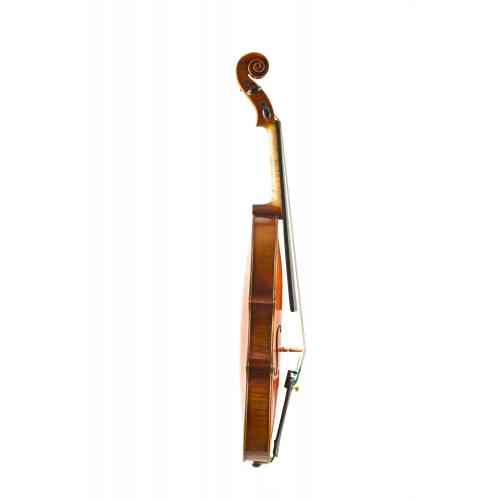 Скрипка 4/4 Bergkamm Antik G 4/4 #3 - фото 3