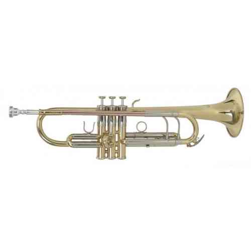 Музыкальная труба Roy Benson TR-403 #1 - фото 1