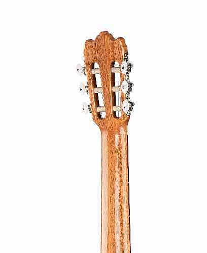 Классическая гитара Alhambra 6.856 Cutaway 3 C CT  #5 - фото 5