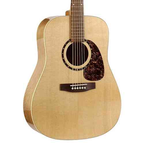 Электроакустическая гитара Norman 027415 Encore B20 HG Presys  #1 - фото 1
