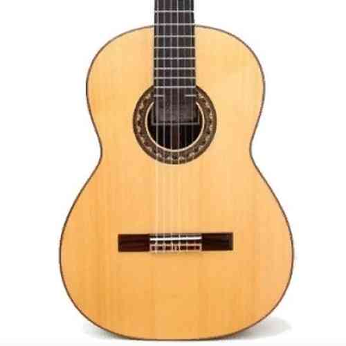Классическая гитара PRUDENCIO Flamenco Guitar Model 17 #1 - фото 1
