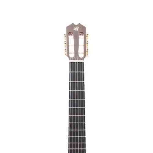 Классическая гитара PRUDENCIO Flamenco Guitar Model 17 #3 - фото 3