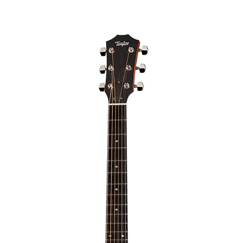 Электроакустическая гитара Taylor 314ce 300 Series #5 - фото 5
