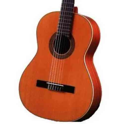 Классическая гитара Antonio Sanchez S-1008 C #1 - фото 1