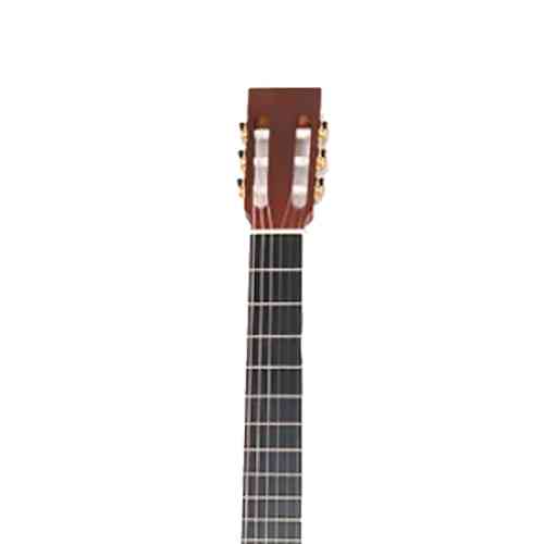 Классическая гитара Strunal 101M-52 #3 - фото 3