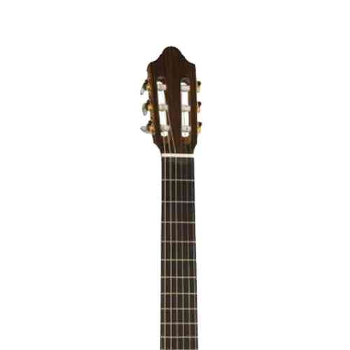 Классическая гитара Kremona F65S Spruce Fiesta Soloist Series #5 - фото 5