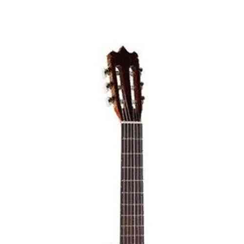 Классическая гитара MARTINEZ FAC-604 #3 - фото 3