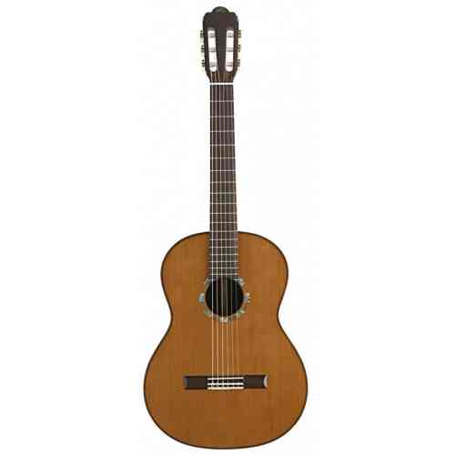 Классическая гитара Angel Lopez C1648 S-CED #2 - фото 2