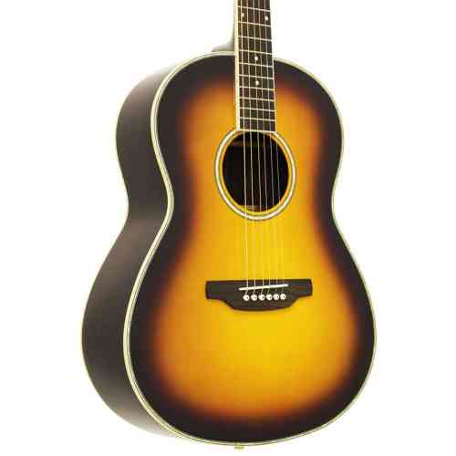 Акустическая гитара Aria MSG-02 BS #1 - фото 1