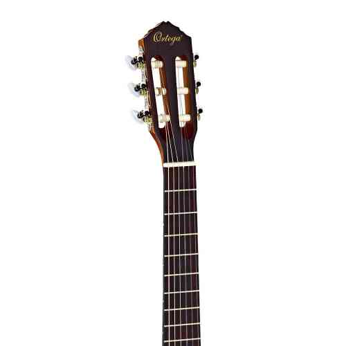 Классическая гитара Ortega R121-1/2 Family Series #3 - фото 3