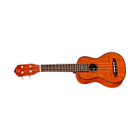 Ortega 2024 ruk ukulele