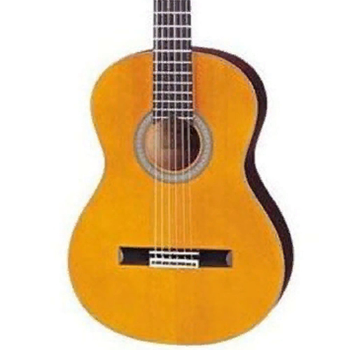 Классическая гитара Aria CGPN-002 N #1 - фото 1