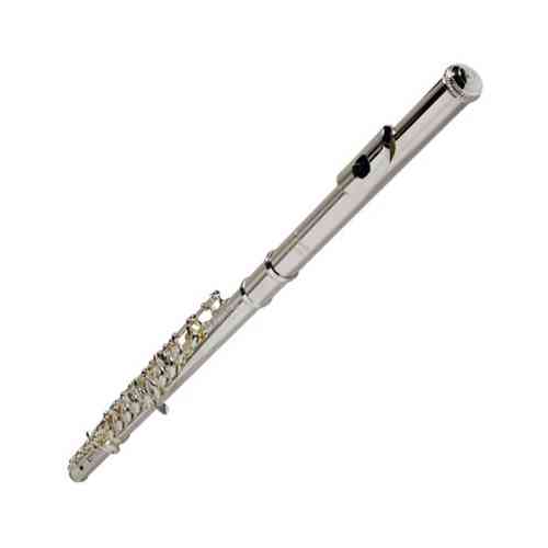 Поперечная флейта Burkart-Phelan Resona R-300-14kR #1 - фото 1