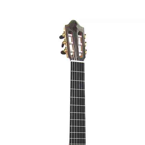 Электроакустическая гитара Kremona F65CW Performer Series Fiesta #5 - фото 5
