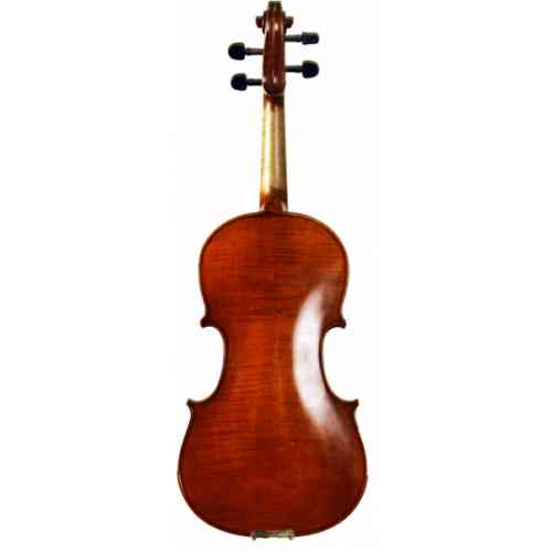 Скрипка 4/4 Hans Klein HKV-7 ANB 4/4 #2 - фото 2