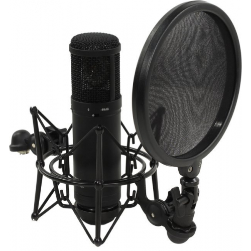 Студийный микрофон Tascam TM-280 #3 - фото 3