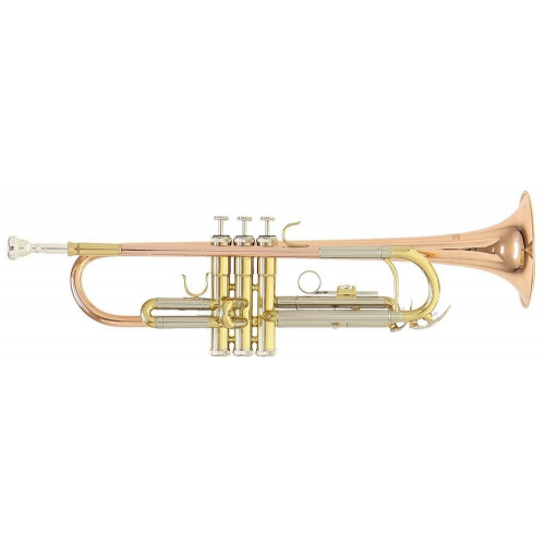 Музыкальная труба Roy Benson TR-202G Bb #1 - фото 1
