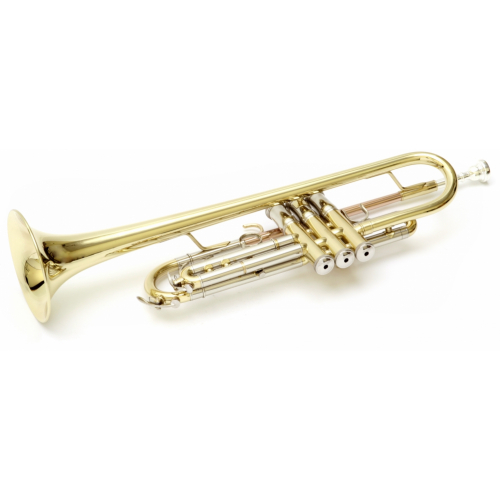 Музыкальная труба Roy Benson TR-402 Bb #3 - фото 3