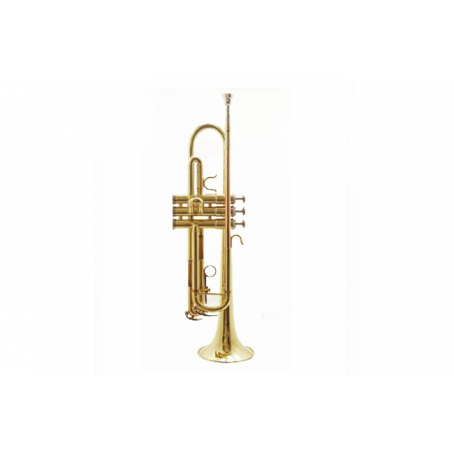 Музыкальная труба Lion Crown XTR062 Bb #1 - фото 1