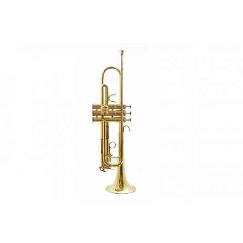 Музыкальная труба Lion Crown XTR062 Bb #1 - фото 1