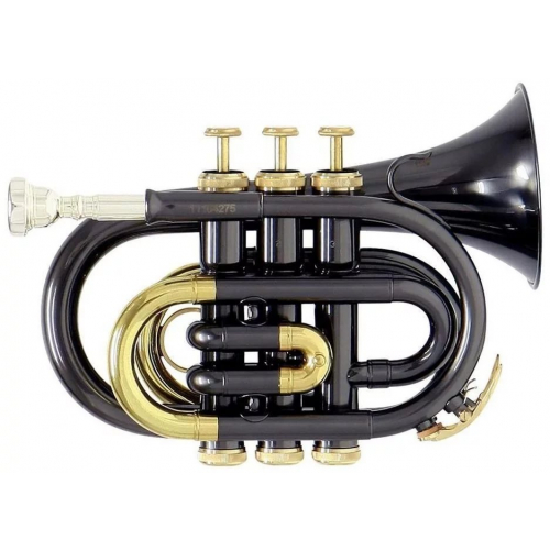 Музыкальная труба Roy Benson PT-101K #1 - фото 1