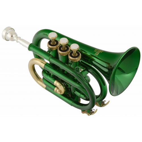 Музыкальная труба Roy Benson PT-101E #2 - фото 2