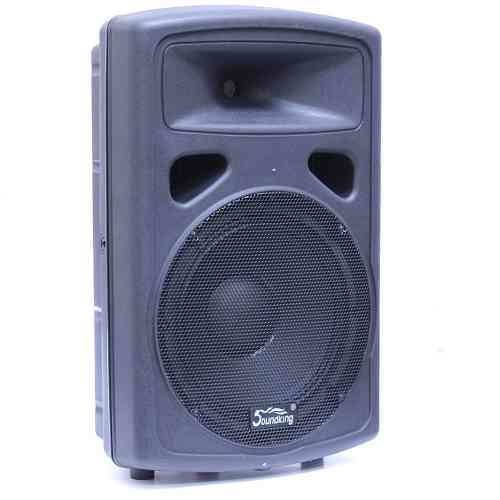 Активная акустическая система Soundking FP0212A  #3 - фото 3
