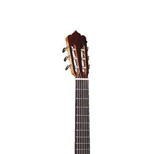 Классическая гитара Alhambra 375 Mengual & Margarit Flamenca Palosanto #3 - фото 3