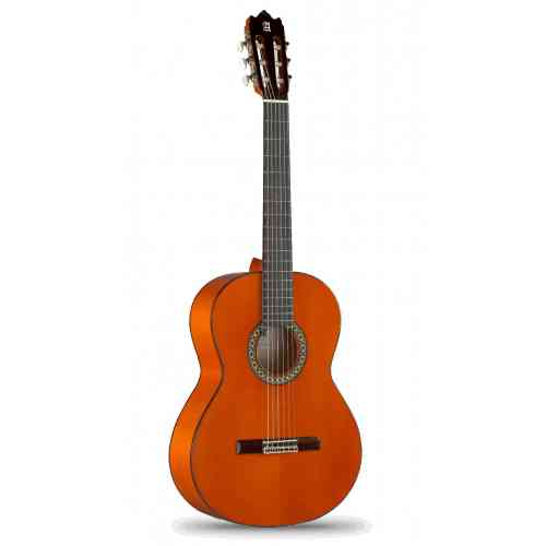 Классическая гитара Alhambra 8.209 Flamenco Conservatory 4F #2 - фото 2