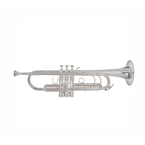 Музыкальная труба Roy Benson TR-403S #1 - фото 1