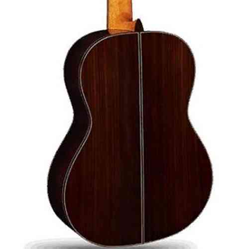 Классическая гитара Alhambra 3.847 Linea Profesional #2 - фото 2