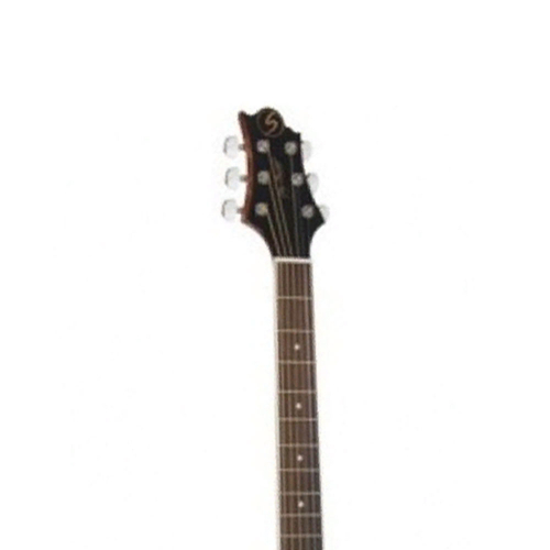 Электроакустическая гитара GREG BENNETT GD101SCE/N #3 - фото 3