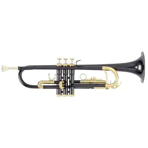 Музыкальная труба Roy Benson TR-101K #1 - фото 1