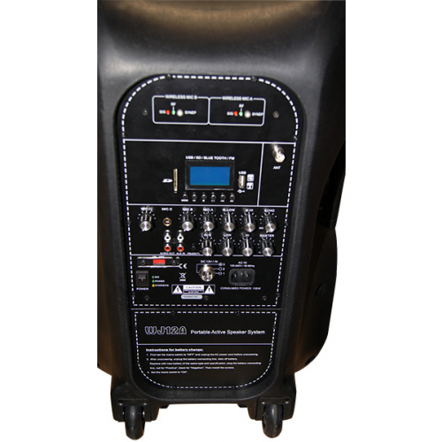 Портативная акустическая система Soundking WJ12A #3 - фото 3