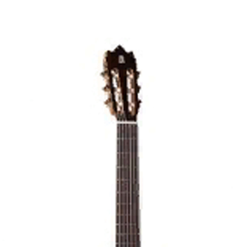 Классическая гитара Alhambra 6.209 Classical Conservatory 5P A #3 - фото 3
