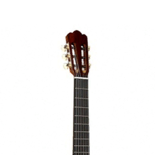 Классическая гитара Alhambra 250 Jose Miguel Moreno Serie C #3 - фото 3