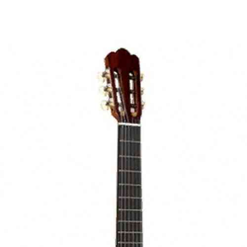 Классическая гитара Alhambra 250 Jose Miguel Moreno Serie C #3 - фото 3
