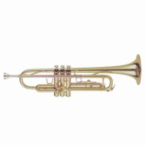 Музыкальная труба Brahner TR-315 SP #1 - фото 1