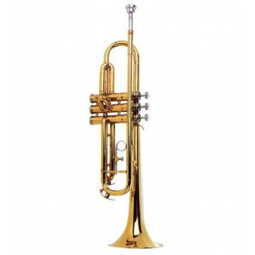 Музыкальная труба Maxtone TTC - 102 #1 - фото 1