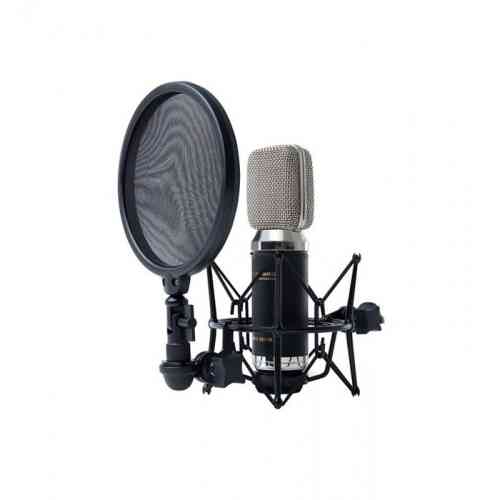 Студийный микрофон Marantz MPM3500R #2 - фото 2