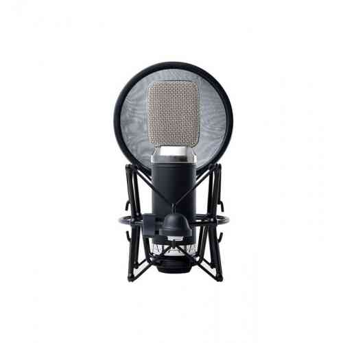Студийный микрофон Marantz MPM3500R #3 - фото 3