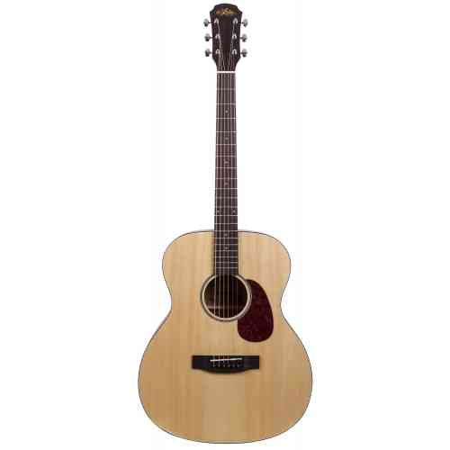 Акустическая гитара Aria 101 MTN #1 - фото 1