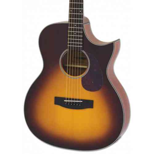 Электроакустическая гитара Aria 101CE MTTS #1 - фото 1