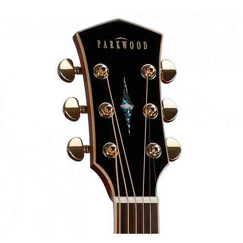 Акустическая гитара Parkwood P820 #1 - фото 1