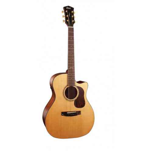 Электроакустическая гитара Cort Gold-A6-NS Gold Series с чехлом #1 - фото 1