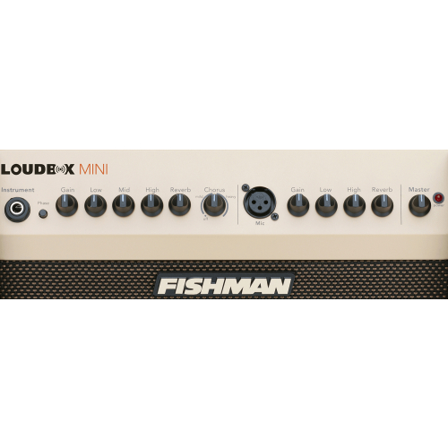 Комбоусилитель для акустической гитары Fishman PRO-LBT-EU5  LoudBox Mini Bluetooth  #4 - фото 4