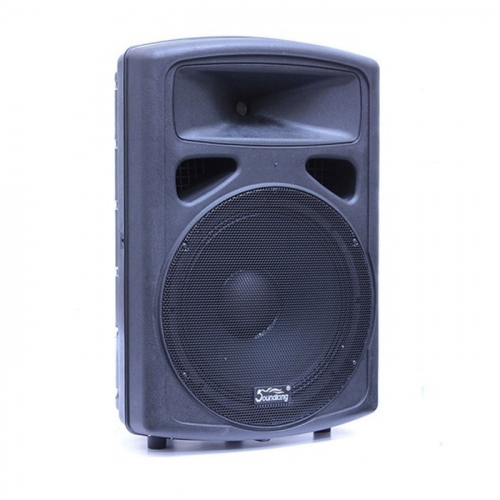 Пассивная акустическая система Soundking FP0215 #1 - фото 1