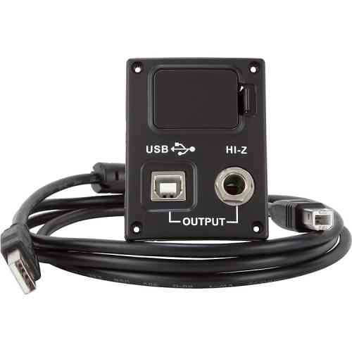 Инструментальный кабель Luna USB UPGRADE #1 - фото 1