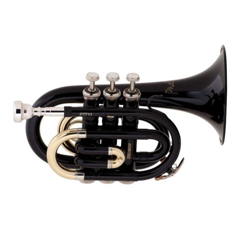 Музыкальная труба BACH Prelude PT-710B #1 - фото 1